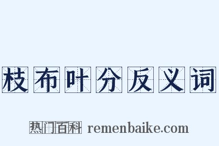 枝布叶分反义词是什么意思的图片